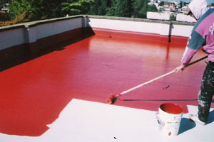 Color1 – Impermeabilizzazioni senza demolizioni Color1 – Impermeabilizzazioni senza demolizioni