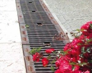 Tradizionali C250 MAX