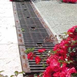 Tradizionali C250 MAX Tradizionali C250 MAX