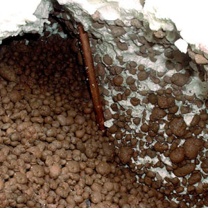 Cavity Filling Cavity Filling