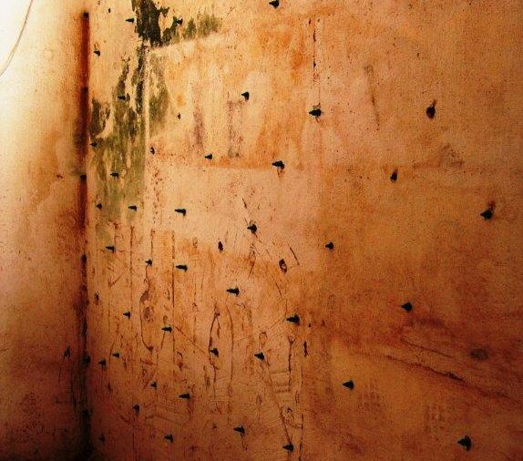 Dry foam system