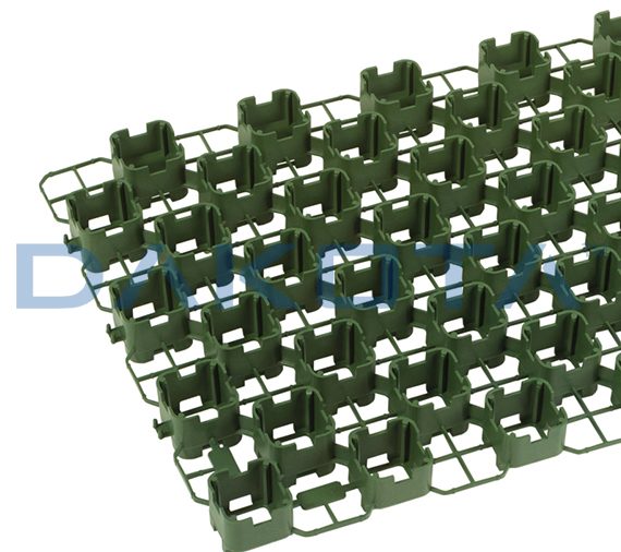 Green Plus Green Plus