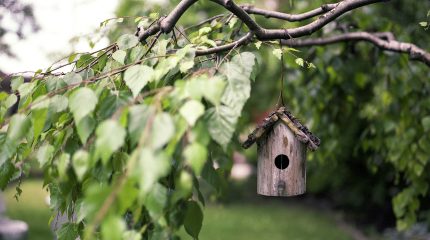 Bonus Verde per le strutture sanitarie pubbliche, contributi fino a 40.000 €