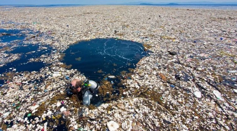 Filtration: il nuovo sistema per ripulire l’Oceano Pacifico