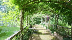 Come costruire una pergola