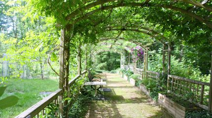 Come costruire una pergola