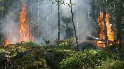 Piano Anti Incendio Boschivo: Lombardia aumenta il budget