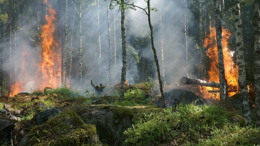 Piano Anti Incendio Boschivo: Lombardia aumenta il budget