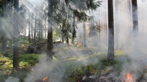 Campagna Antincendi Boschivi: tutto pronto per stagione estiva