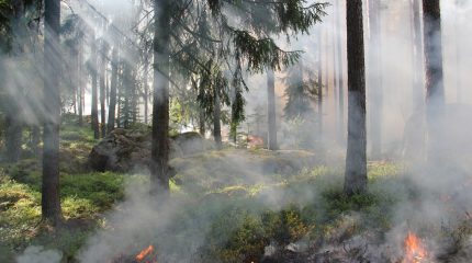 Campagna Antincendi Boschivi: tutto pronto per stagione estiva