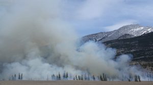 Campagna Antincendi 2020? A Messina manca il personale