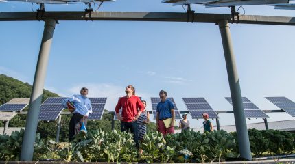 Smaltimento e riciclo pannelli fotovoltaici: come funziona