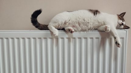 Termosifoni: come funzionano, tipologie e differenze