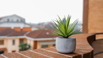 Bonus Verde: vale anche per il balcone?