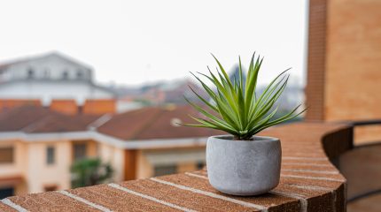 Bonus Verde: vale anche per il balcone?