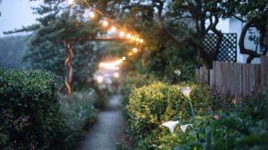 Consigli per illuminare al meglio il giardino