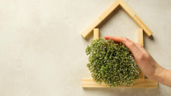 Bonus Verde per costruzione pozzi, irrigazione e acquisto alberi: come funziona