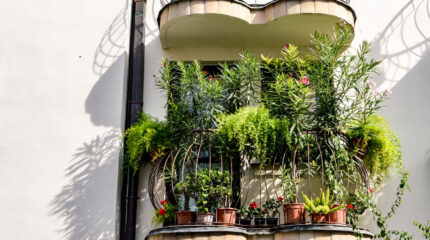 Bonus Verde per rinnovare balconi e terrazzi: quali lavori ammessi?