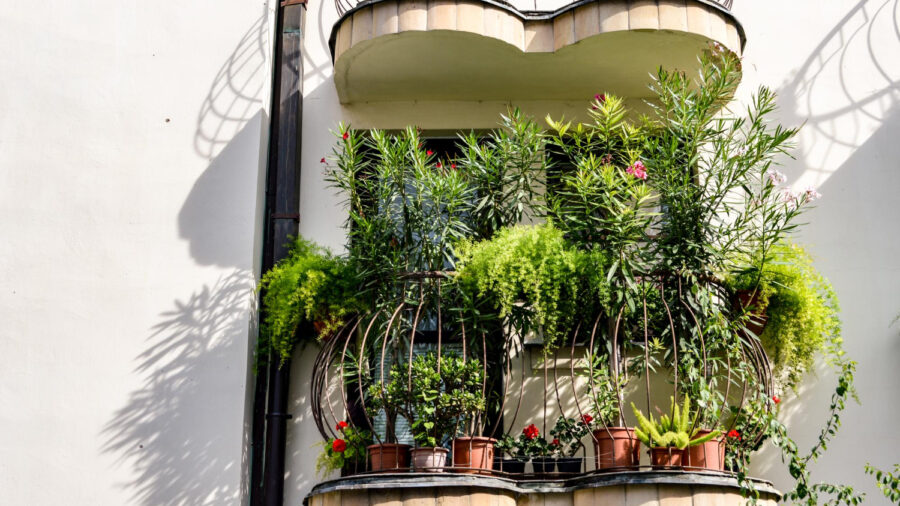 Bonus Verde per rinnovare balconi e terrazzi: quali lavori ammessi?