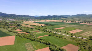428 terreni in vendita all’asta nella settima edizione della Banca nazionale delle Terre Agricole