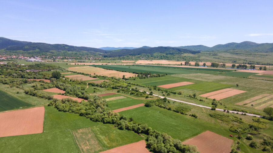 428 terreni in vendita all’asta nella settima edizione della Banca nazionale delle Terre Agricole
