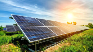 Nuovo bando Parco Agrisolare: 250 milioni di euro per impianti fotovoltaici