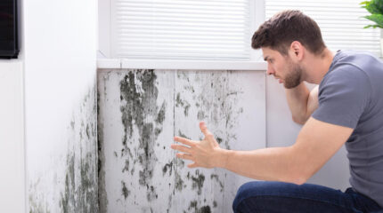 Quando il condominio è responsabile per danni da infiltrazioni e muffa? la sentenza del TAR