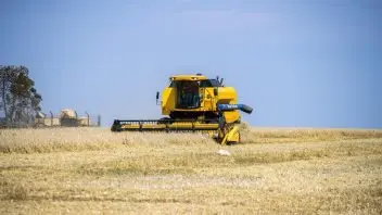 Sicilia zona rossa per siccità: 30 milioni di euro per agli agricoltori