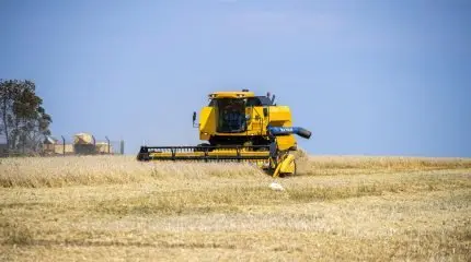 Sicilia zona rossa per siccità: 30 milioni di euro per agli agricoltori
