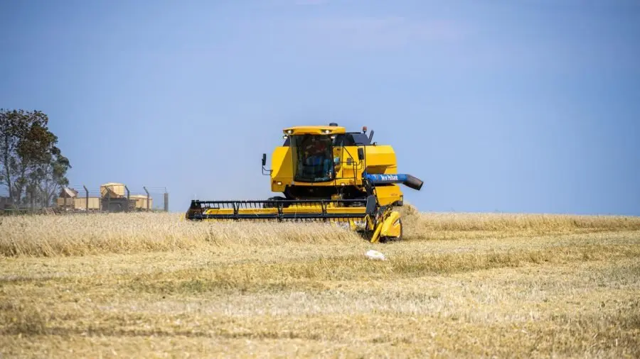 Sicilia zona rossa per siccità: 30 milioni di euro per agli agricoltori