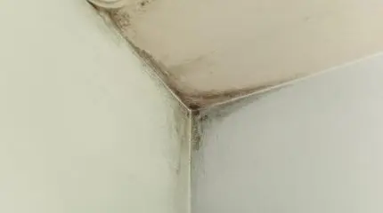 Casa con infiltrazioni scoperte dopo l’acquisto: “visto e piaciuto” non basta