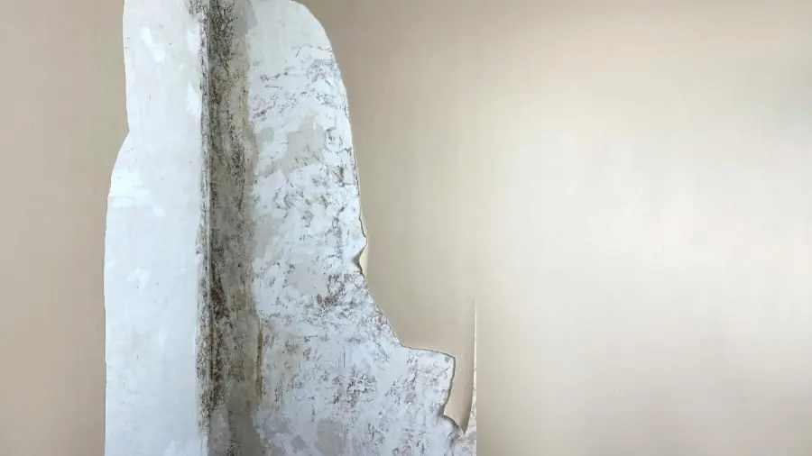 Danni da infiltrazioni in casa: il condominio è sempre responsabile? i rischi di fare causa senza prove Danni da infiltrazioni in casa: il condominio è sempre responsabile? i rischi di fare causa senza prove