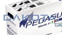 Canaletta Raccolta Acqua Pegasus Kit