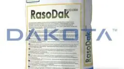 Rasante Collante RasoDak Eco 100