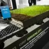 Eterno Ivica Greenlift con Griglia Plus per tetti verdi sopraelevati