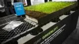 Eterno Ivica Greenlift con Griglia Plus per tetti verdi sopraelevati