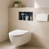 Cassetta di scarico WC da incasso con placca rimossa e valvole visibili