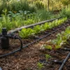 Impianto di irrigazione a goccia con filtro, raccordi e linee disposte tra le piante dell’orto