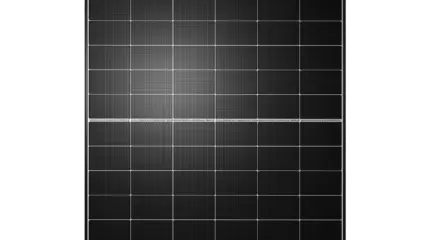 Vitovolt 300-DG M-WV Black Frame: modulo fotovoltaico bifacciale