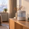 Aria troppo secca in inverno: misure, cause e limiti degli umidificatori
