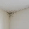 Muffa negli angoli del soffitto: condensa, ponti termici o infiltrazioni?