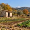 Costruire in zona agricola: il terreno da solo non dà diritto all’esonero dagli oneri